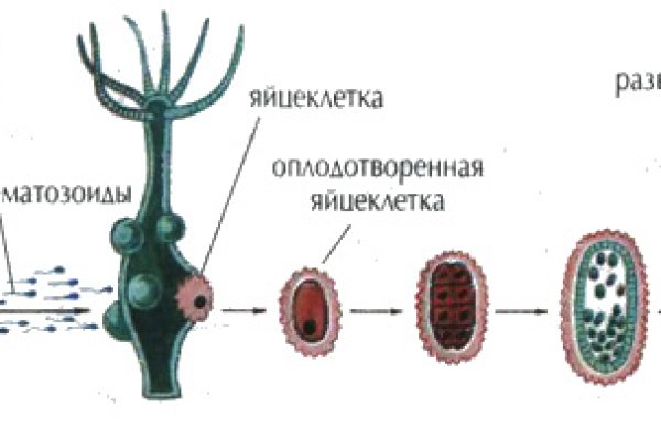 Кракен актуальная ссылка тор