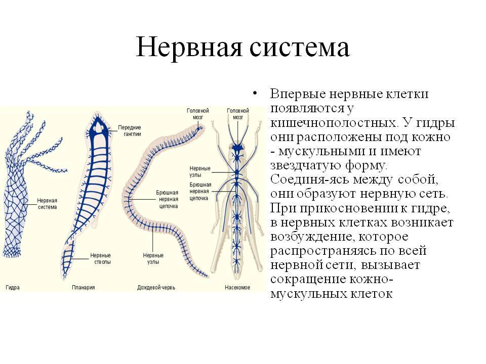 Кракен даркнет kraken014 com