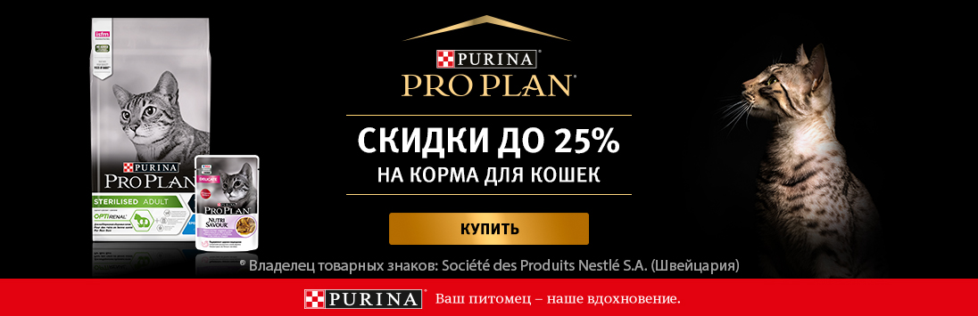 Кракен даркнет войти